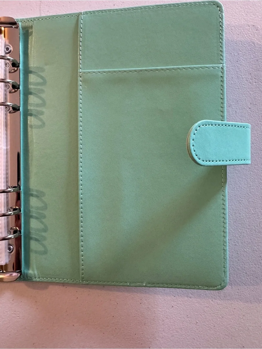 100 Envelope Savings Challenge Binder - Mint Green